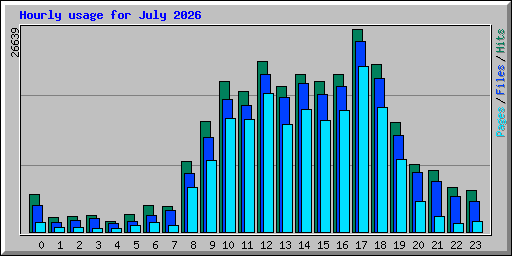 Hourly usage for July 2026