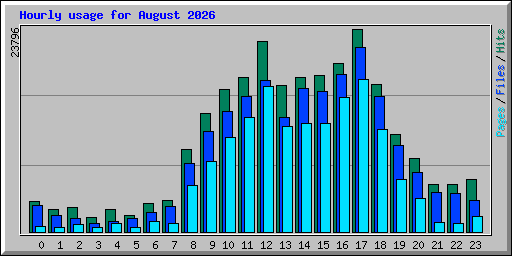 Hourly usage for August 2026