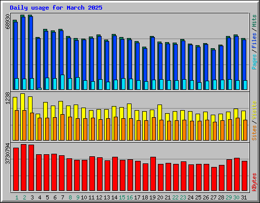 Daily usage for March 2025
