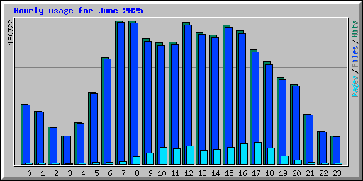 Hourly usage for June 2025