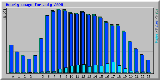 Hourly usage for July 2025