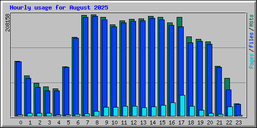Hourly usage for August 2025