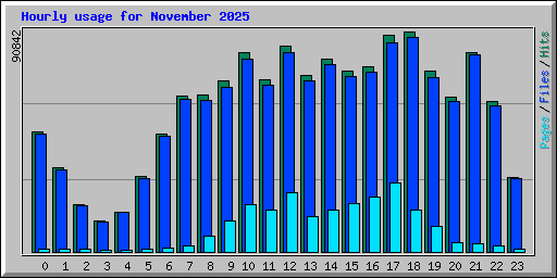 Hourly usage for November 2025