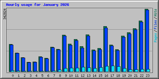 Hourly usage for January 2026
