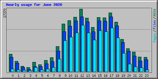 Hourly usage for June 2026